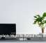 Houseplants Might Be Behind Your Sluggish Wi-Fi